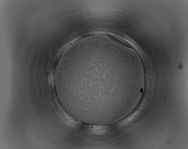 X0000089920857200707061018