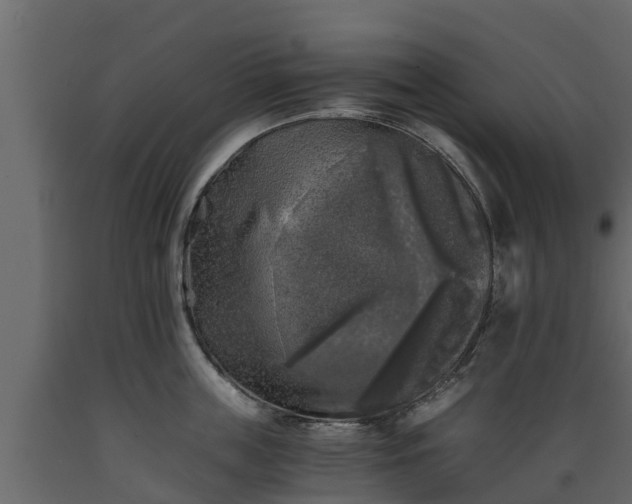 X0000089920859200707061018