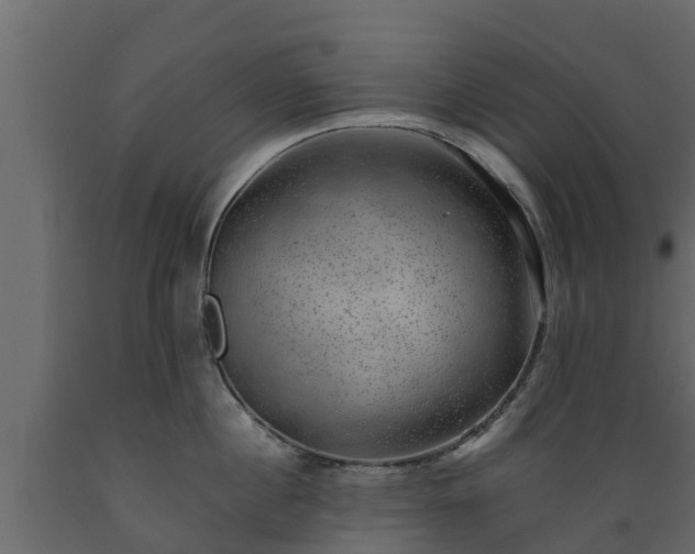 X0000089920860200707061018