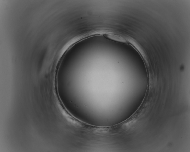 X0000089920861200707061018