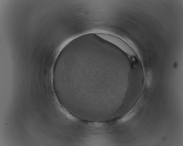 X0000089920862200707061018
