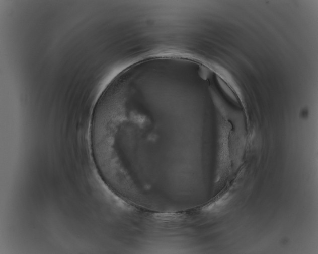 X0000089920863200707061018
