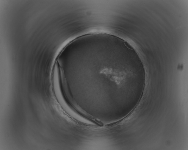 X0000089920864200707061018