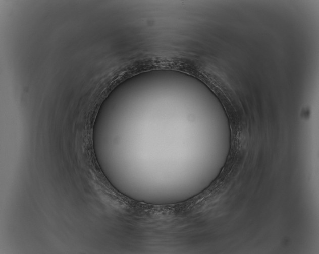X0000089920865200707061017