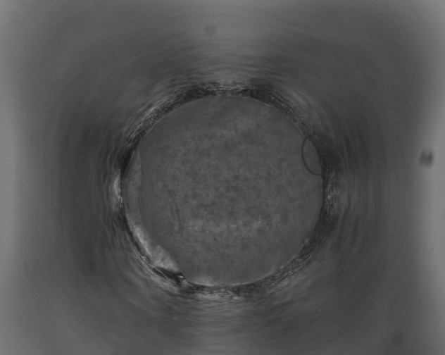 X0000089920866200707061017