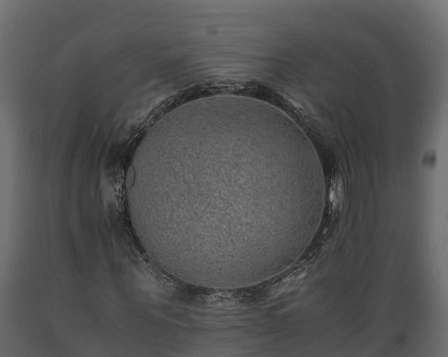 X0000089920867200707061017