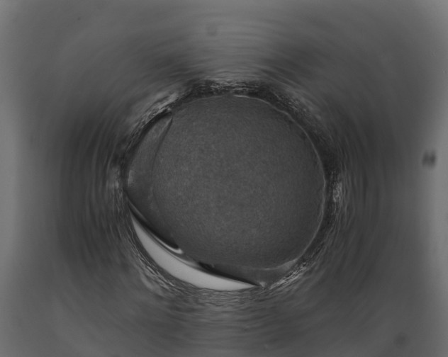 X0000089920868200707061017