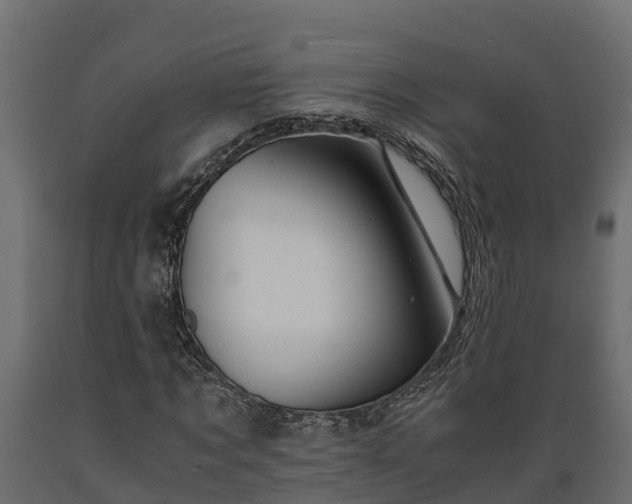 X0000089920869200707061017