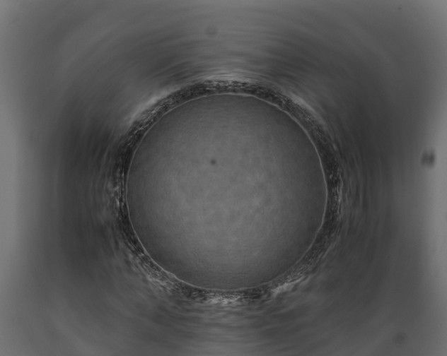X0000089920870200707061017