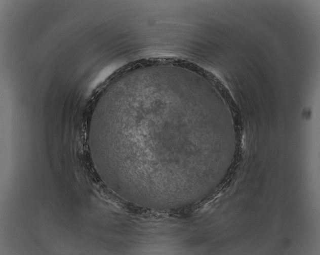 X0000089920871200707061017
