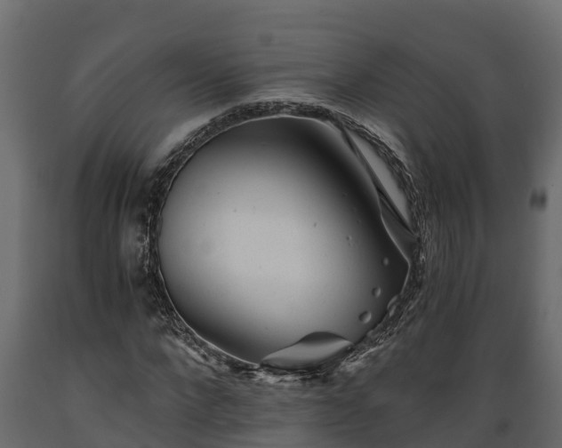 X0000089920872200707061017