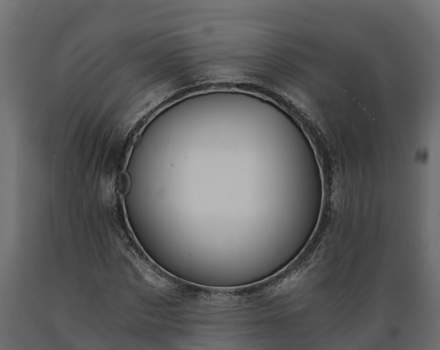 X0000089920873200707061017