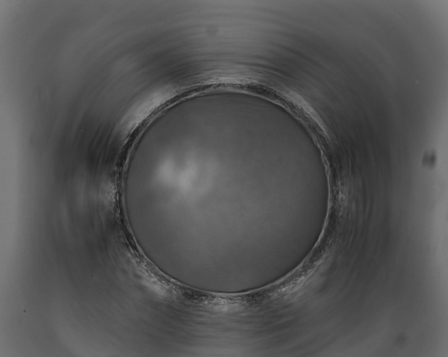 X0000089920874200707061017