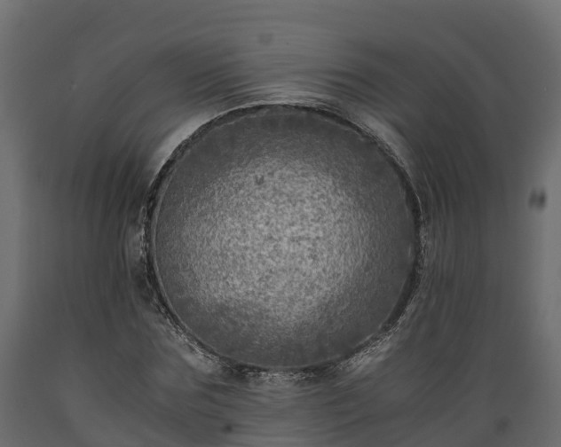 X0000089920875200707061017