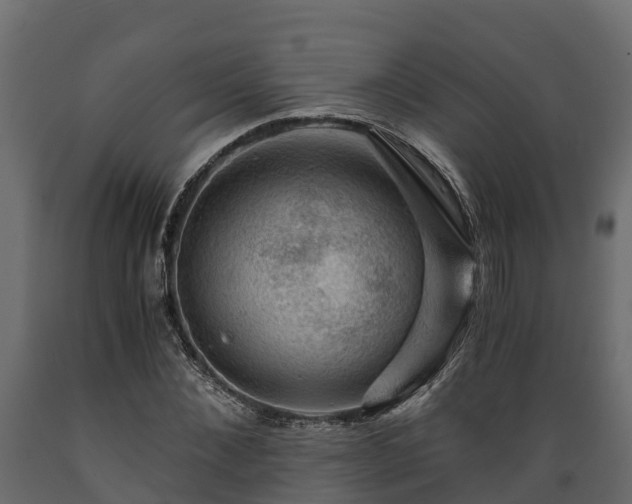 X0000089920876200707061017