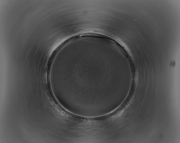 X0000089920877200707061017