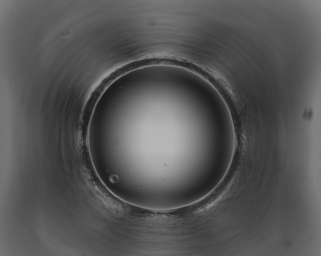 X0000089920880200707061017