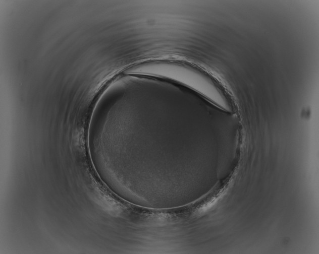 X0000089920881200707061017