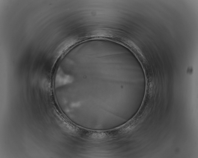 X0000089920882200707061017
