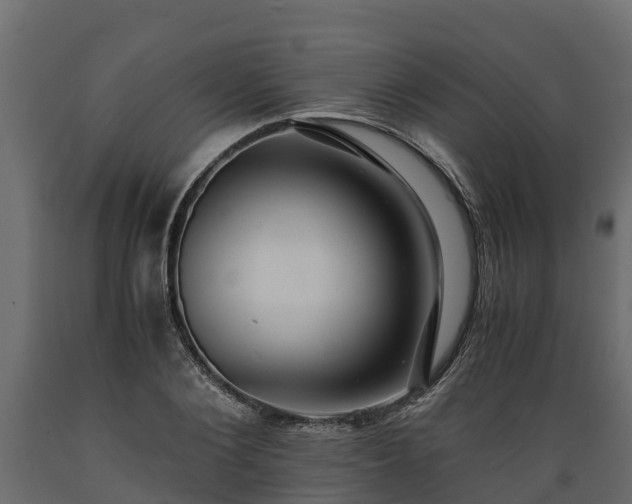 X0000089920884200707061017
