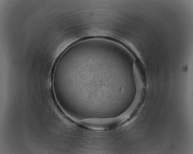 X0000089920885200707061017