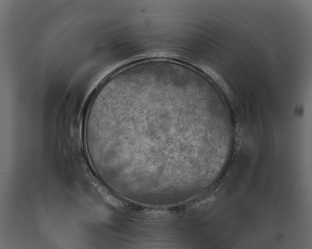 X0000089920886200707061017