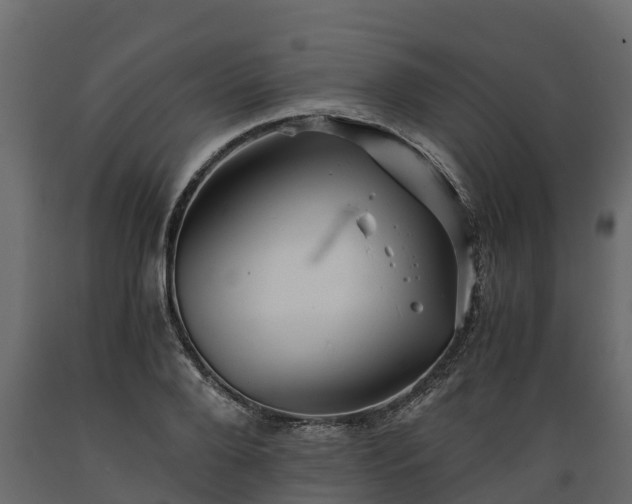 X0000089920888200707061017