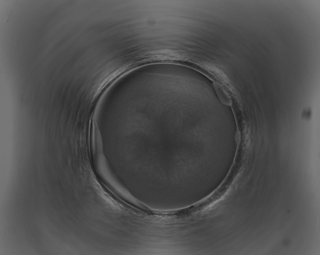 X0000089920889200707061017
