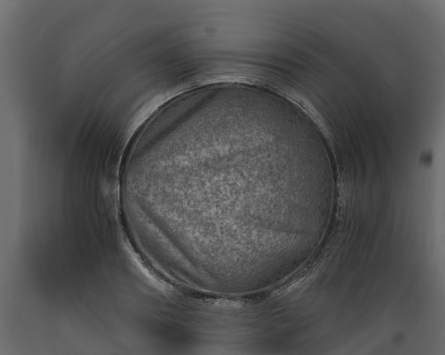 X0000089920890200707061017