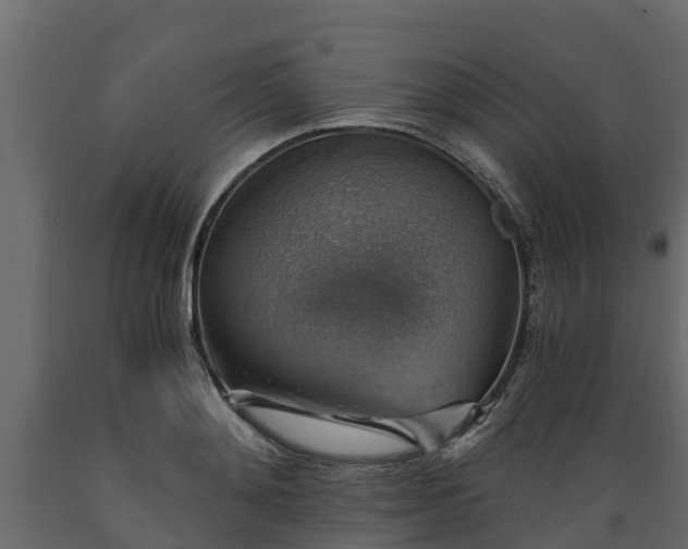X0000089920892200707061017