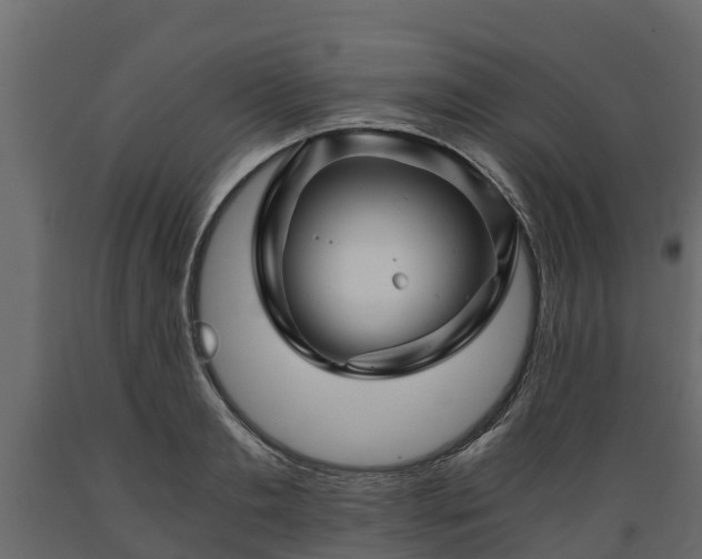 X0000089920893200707061017