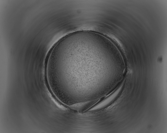 X0000089920894200707061017