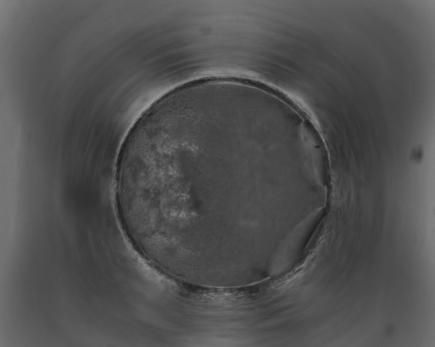 X0000089920895200707061017