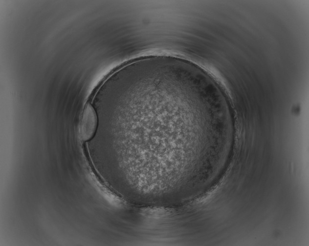X0000089920896200707061017