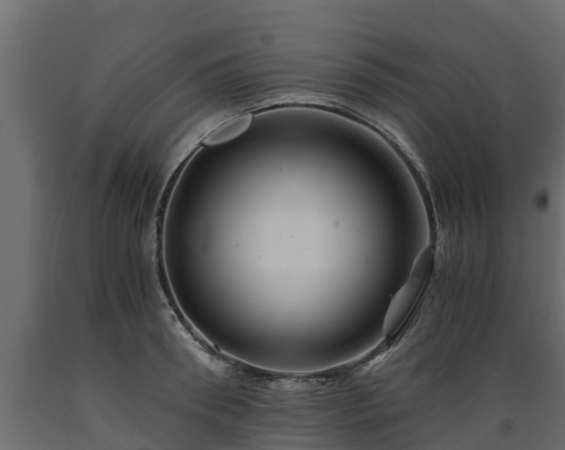 X0000089920898200707061017