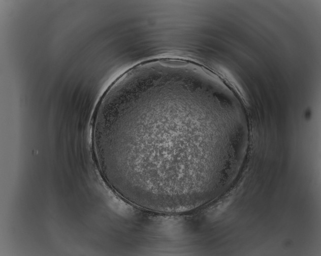 X0000089920900200707061017