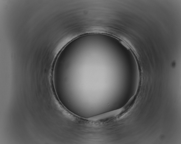 X0000089920901200707061017