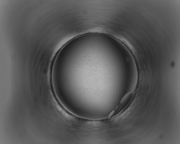 X0000089920902200707061017