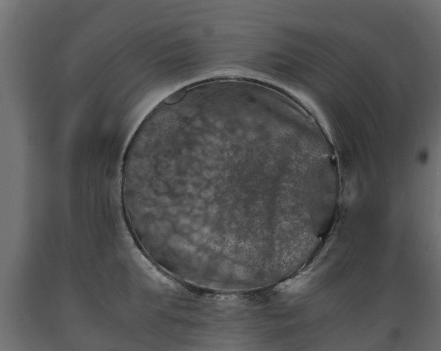 X0000089920903200707061017