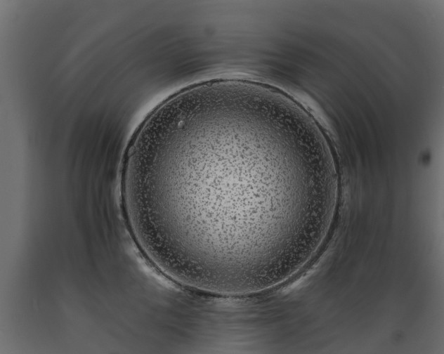 X0000089920904200707061017