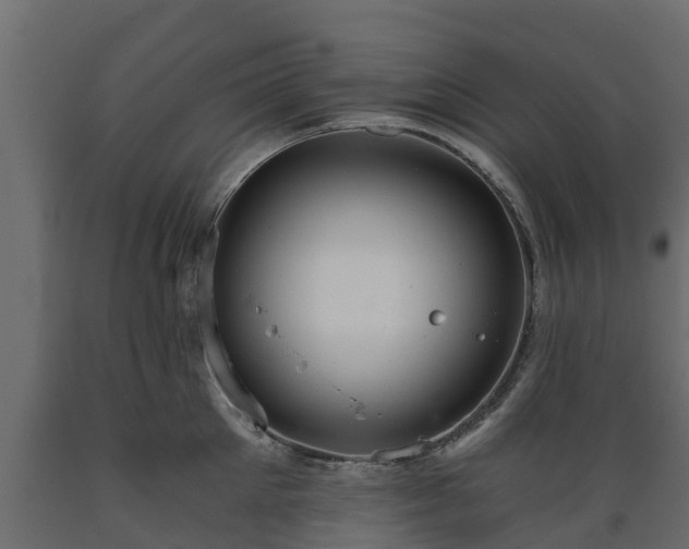 X0000089920905200707061017