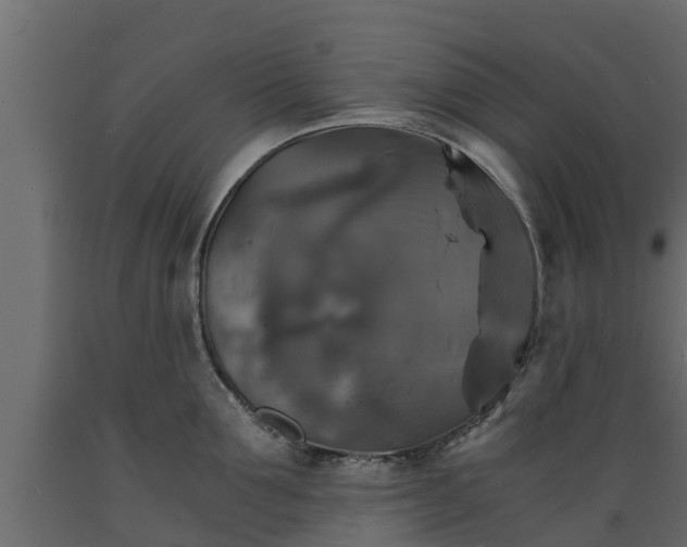 X0000089920907200707061016