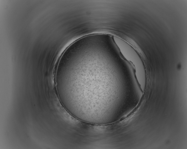 X0000089920908200707061016