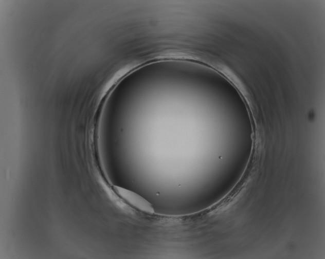 X0000089920909200707061016