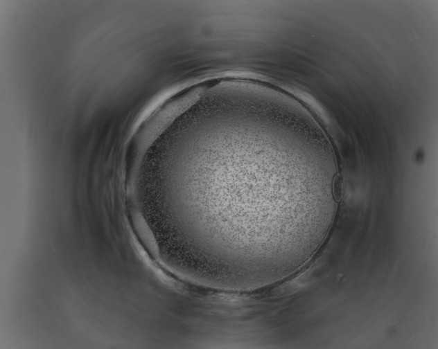 X0000089920910200707061016