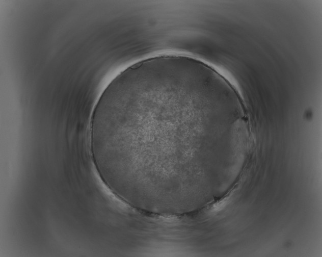X0000089920911200707061016