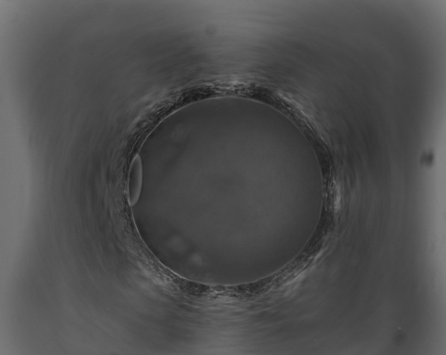 X0000089920913200707061016
