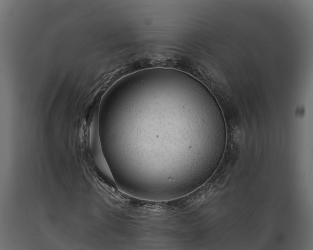 X0000089920914200707061016
