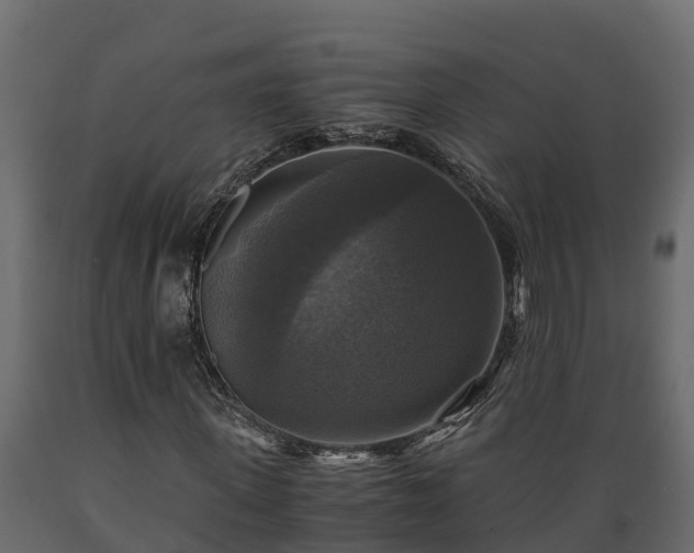 X0000089920915200707061016
