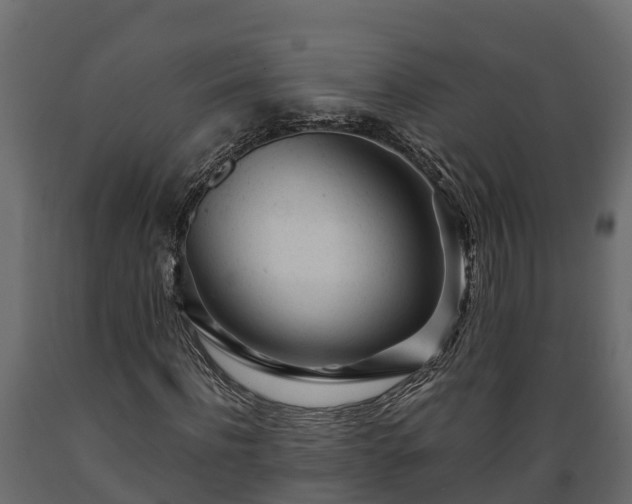 X0000089920916200707061016